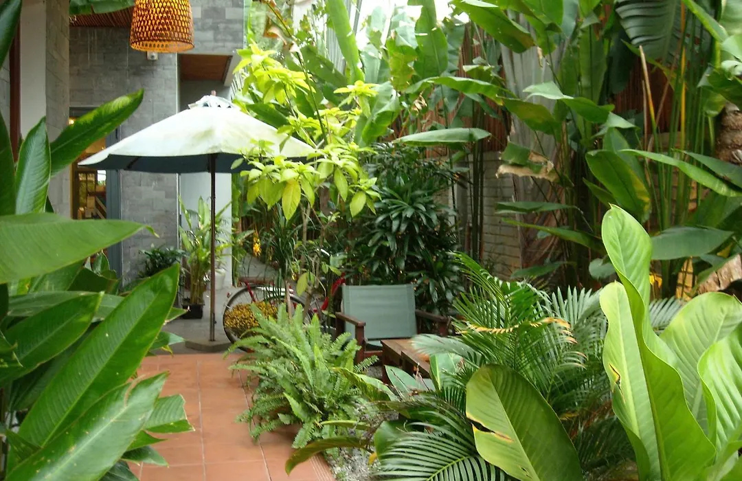 Tropical Home Villa-1
